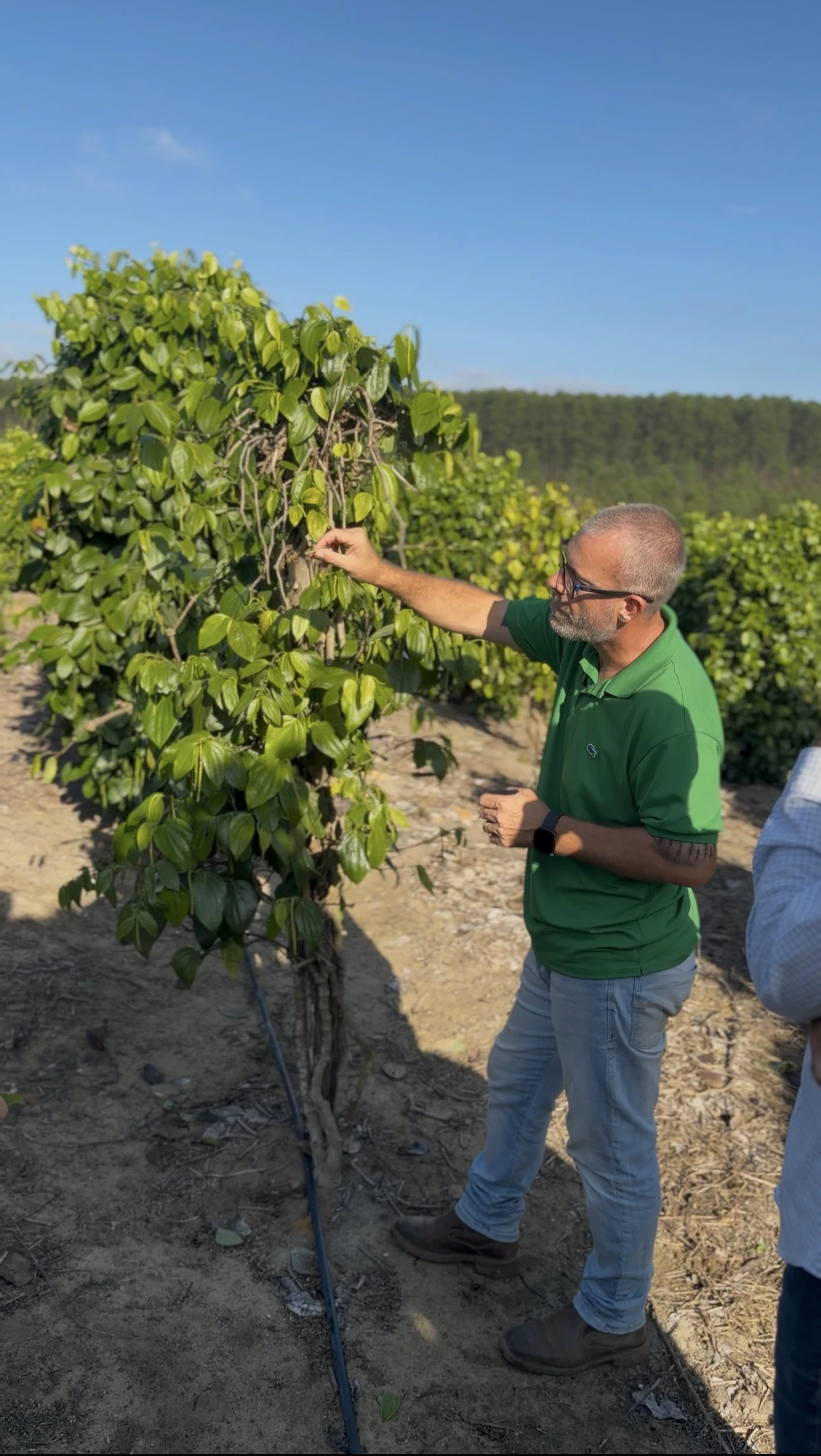 Experiência prática da Erasmo Agro no campo — imagem 12 de 38